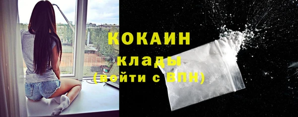 кокс Белокуриха