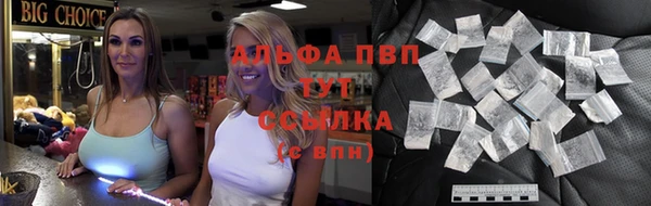 стаф Беломорск