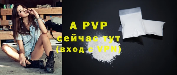 кокс Белокуриха