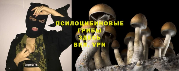 кокс Белокуриха