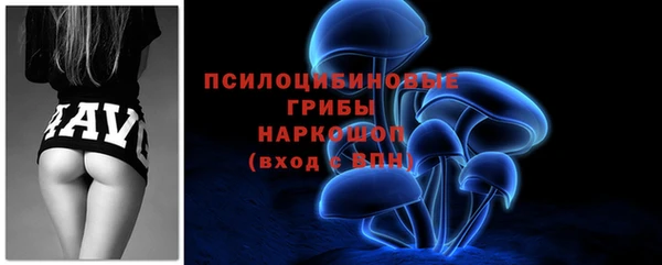 кокс Белокуриха