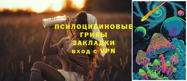 стаф Беломорск