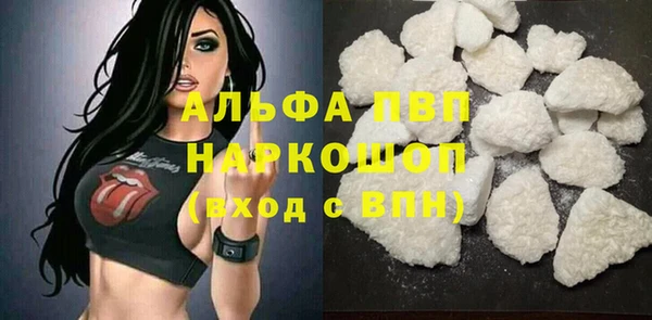 кокс Белокуриха